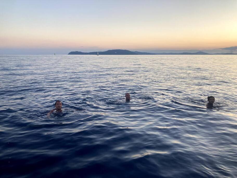 Cabanon Moderne, Les Pieds Dans L'Eau, 2 Chambres Le Pradet Dış mekan fotoğraf